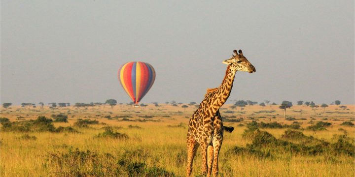 Tanzania-Mid-range-safaris