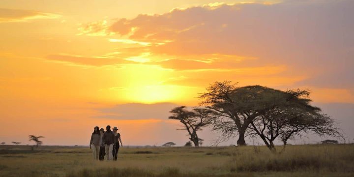 serengeti national park
